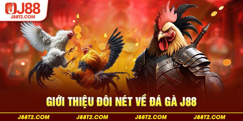 Giới thiệu đôi nét về đá gà J88